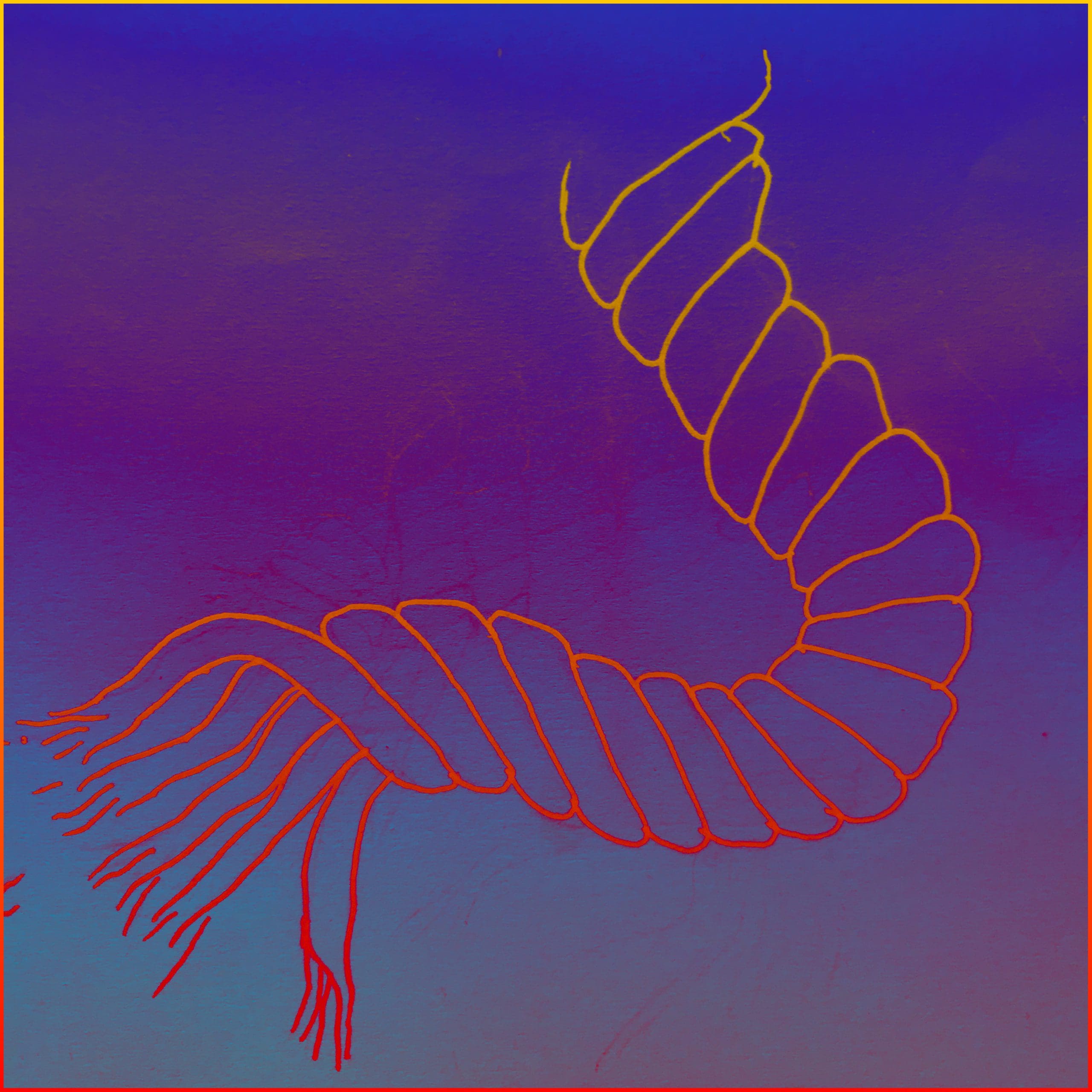 A line drawing of orange on vivid purple depicts a heavy rope made up of five strands, broken and frayed at the bottom.