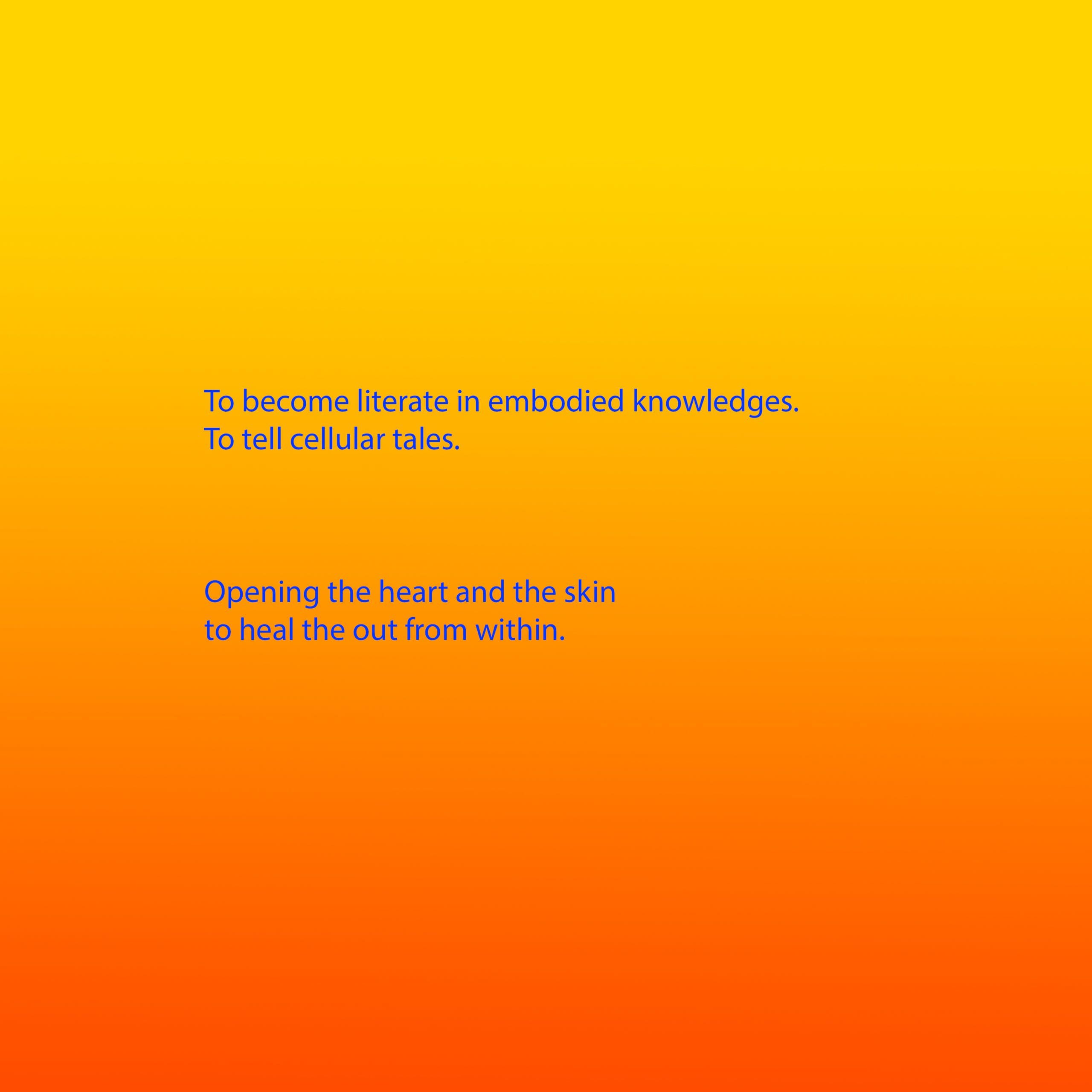 Bright blue text appears on a background that is a gradient from yellow, through orange to red. The text reads: To become literate in embodied knowledges. To tell cellular tales. Opening the heart and the skin to heal the out from within.